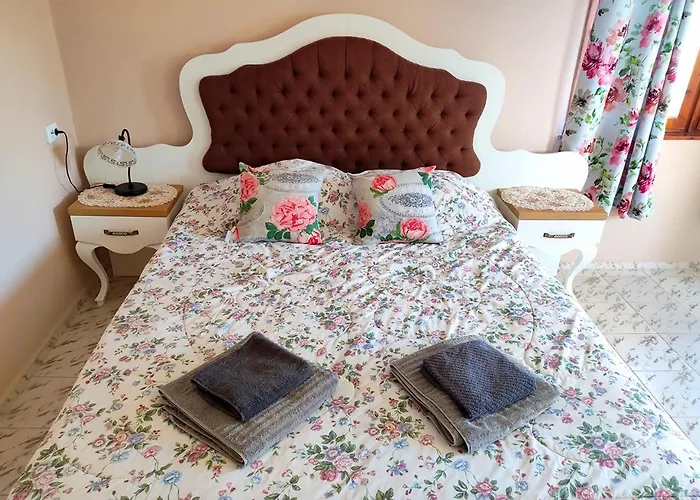 - Heaven فيلة بايالا